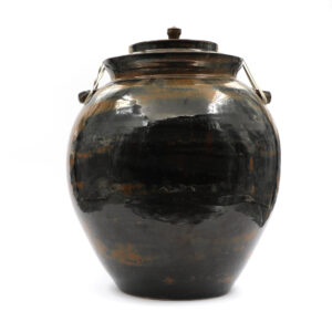 Glossy Black Fermentation Jar