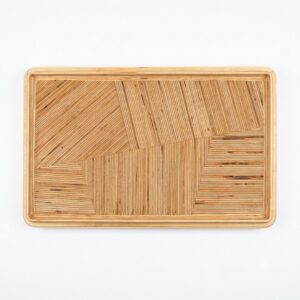 Cycle of Life Tray